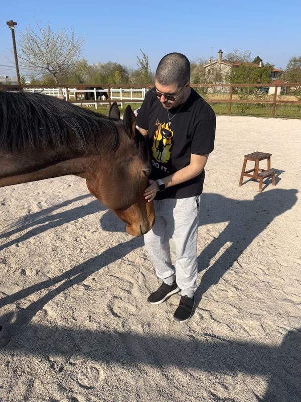 Incontro in presenza seduti accanto al cavallo
